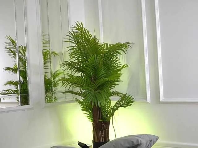 ellacandy on BongaCams 