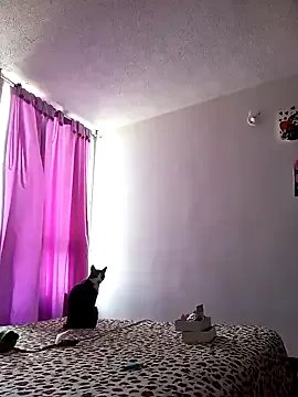 DaniPoison on StripChat