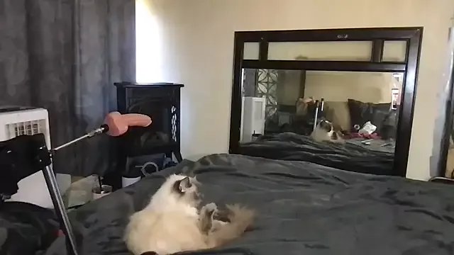 TiffaneyLove on StripChat